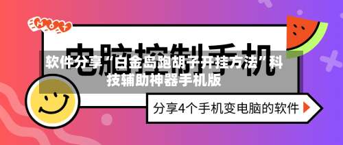 软件分享“白金岛跑胡子开挂方法”科技辅助神器手机版-第3张图片