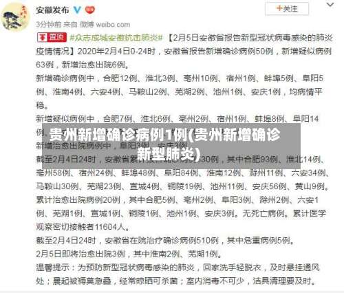贵州新增确诊病例1例(贵州新增确诊新型肺炎)-第3张图片