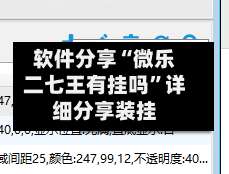 软件分享“微乐二七王有挂吗”详细分享装挂-第3张图片