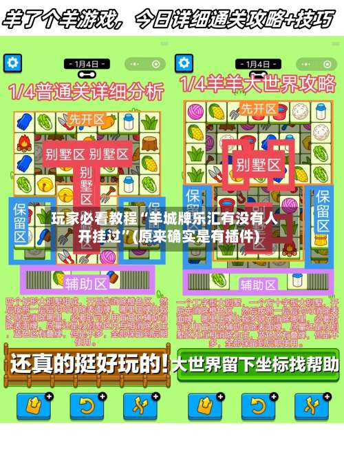 玩家必看教程“羊城牌乐汇有没有人开挂过	”(原来确实是有插件)-第1张图片