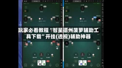 玩家必看教程“智星德州菠萝辅助工具下载”开挂(透视)辅助神器-第2张图片