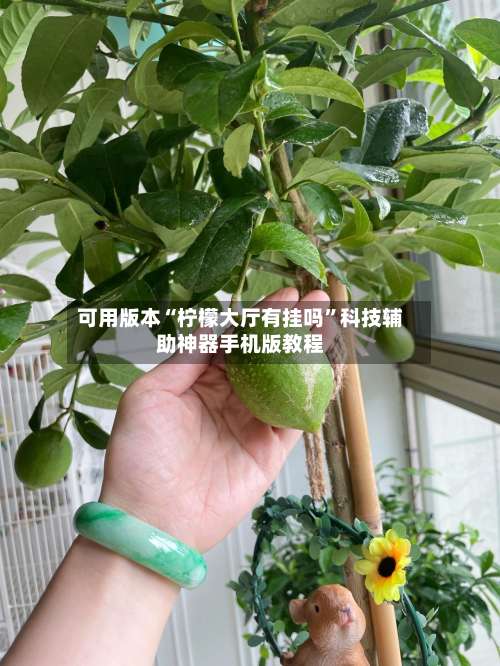 可用版本“柠檬大厅有挂吗”科技辅助神器手机版教程-第1张图片