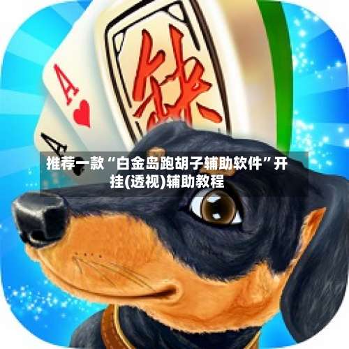 推荐一款“白金岛跑胡子辅助软件”开挂(透视)辅助教程-第3张图片