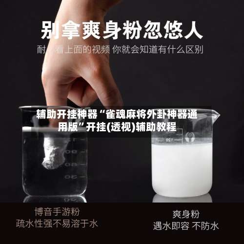 辅助开挂神器“雀魂麻将外卦神器通用版”开挂(透视)辅助教程-第2张图片