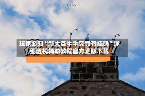 玩家必知“新大圣牛牛究竟有挂吗	”详细透视辅助教程官方正版下载-第1张图片