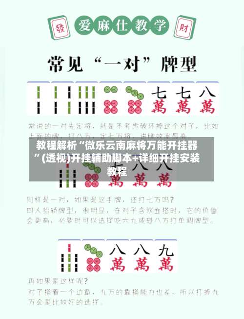 教程解析“微乐云南麻将万能开挂器”(透视)开挂辅助脚本+详细开挂安装教程-第3张图片