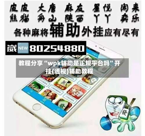 教程分享“wpk辅助是正规平台吗”开挂(透视)辅助教程-第1张图片