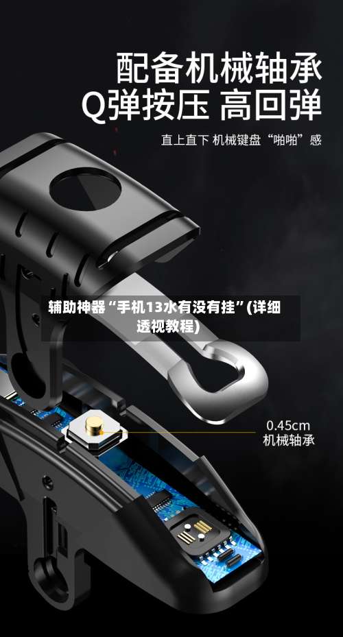 辅助神器“手机13水有没有挂”(详细透视教程)-第2张图片