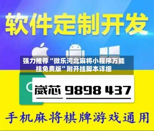 强力推荐“微乐河北麻将小程序万能挂免费版	”附开挂脚本详细-第2张图片