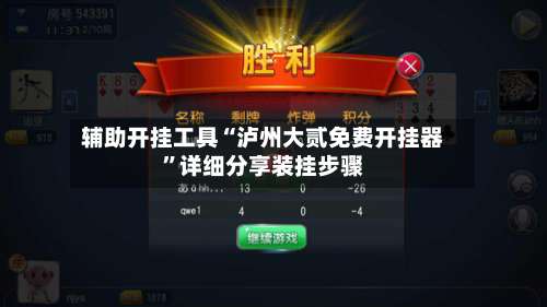 辅助开挂工具“泸州大贰免费开挂器”详细分享装挂步骤-第1张图片