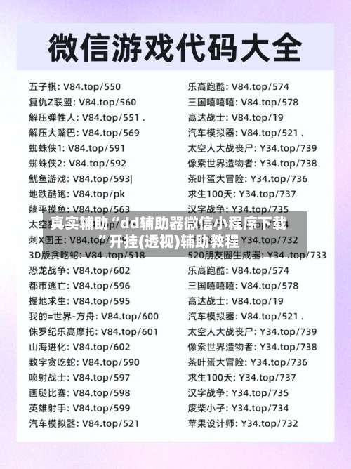 真实辅助“dd辅助器微信小程序下载	”开挂(透视)辅助教程-第1张图片