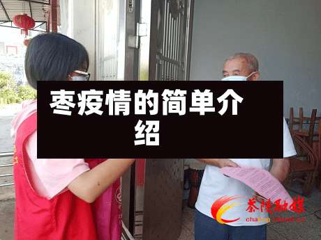 枣疫情的简单介绍-第2张图片