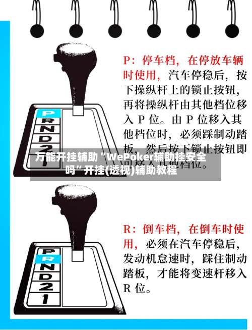 万能开挂辅助“WePoker辅助挂安全吗”开挂(透视)辅助教程-第2张图片