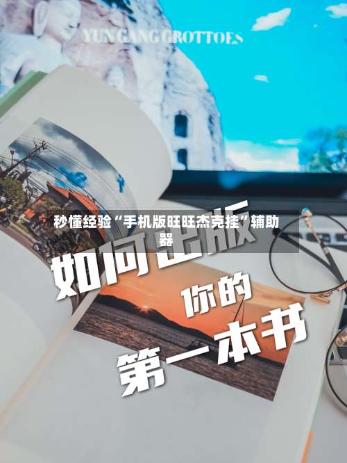 秒懂经验“手机版旺旺杰克挂”辅助器-第2张图片