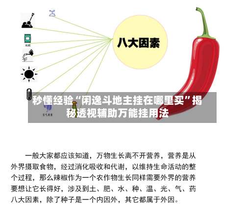 秒懂经验“闲逸斗地主挂在哪里买	”揭秘透视辅助万能挂用法-第2张图片