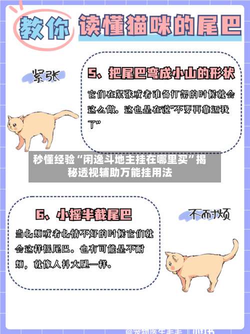 秒懂经验“闲逸斗地主挂在哪里买”揭秘透视辅助万能挂用法-第1张图片