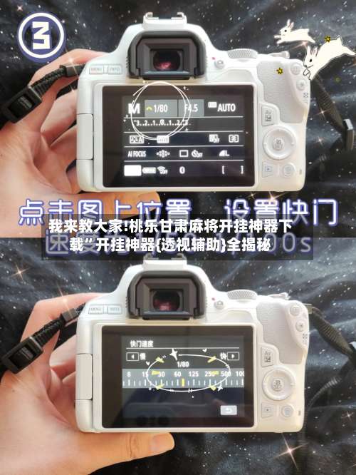 我来教大家!桃乐甘肃麻将开挂神器下载”开挂神器{透视辅助}全揭秘-第1张图片