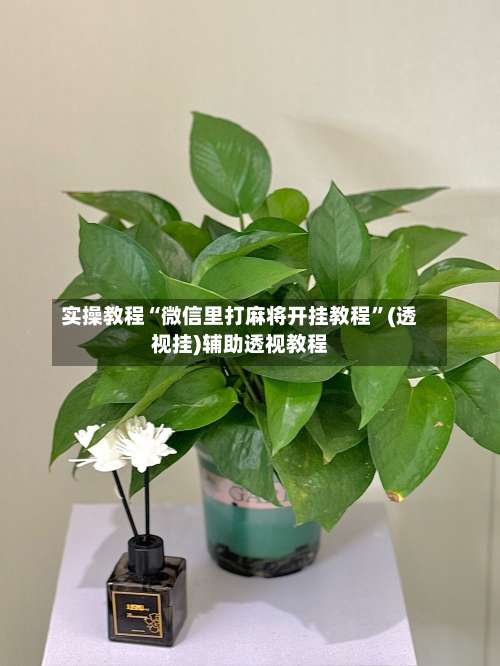 实操教程“微信里打麻将开挂教程”(透视挂)辅助透视教程-第1张图片