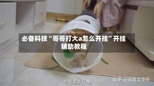 必备科技“哥哥打大a怎么开挂”开挂辅助教程-第1张图片