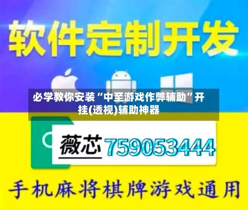 必学教你安装“中至游戏作弊辅助”开挂(透视)辅助神器-第3张图片