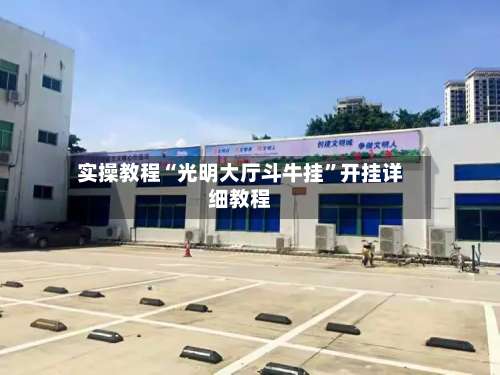 实操教程“光明大厅斗牛挂	”开挂详细教程-第2张图片