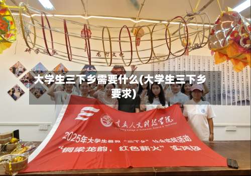 大学生三下乡需要什么(大学生三下乡要求)-第2张图片