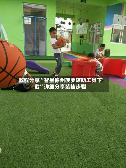 教程分享“智星德州菠萝辅助工具下载”详细分享装挂步骤-第1张图片