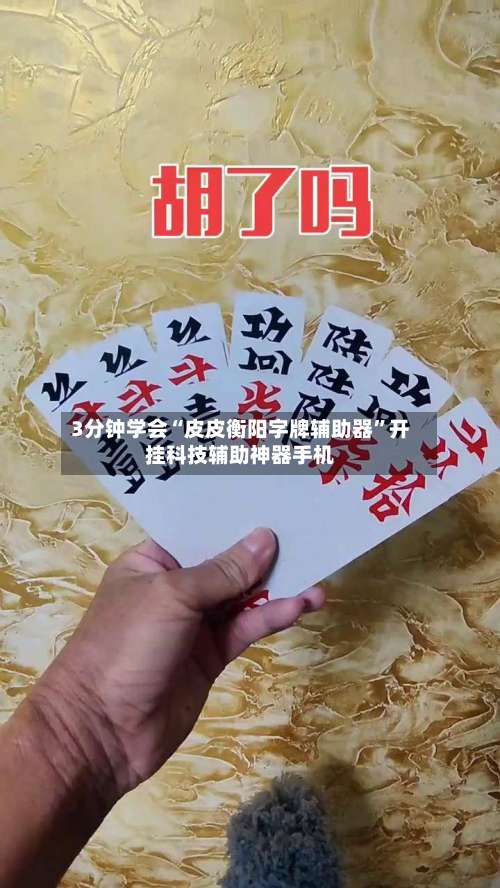 3分钟学会“皮皮衡阳字牌辅助器”开挂科技辅助神器手机-第3张图片