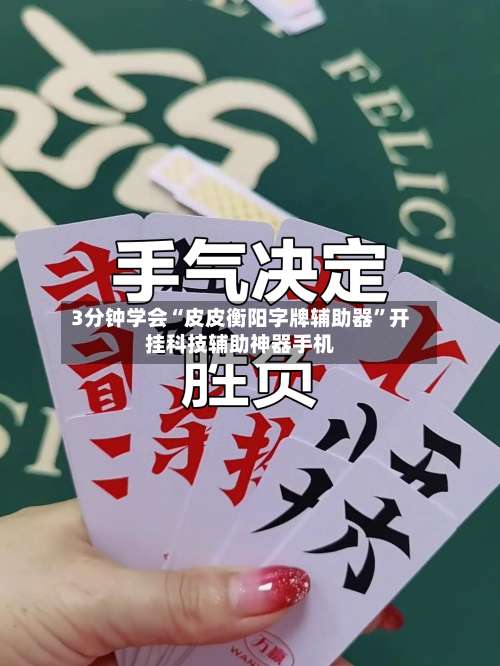 3分钟学会“皮皮衡阳字牌辅助器	”开挂科技辅助神器手机-第2张图片