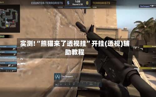 实测!“熊猫来了透视挂	”开挂(透视)辅助教程-第1张图片