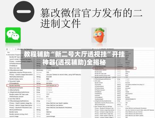 教程辅助“新二号大厅透视挂”开挂神器{透视辅助}全揭秘-第2张图片