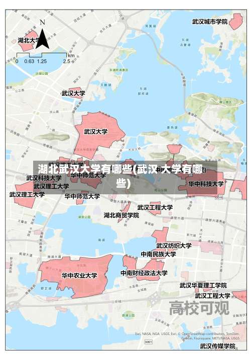 湖北武汉大学有哪些(武汉 大学有哪些)-第1张图片