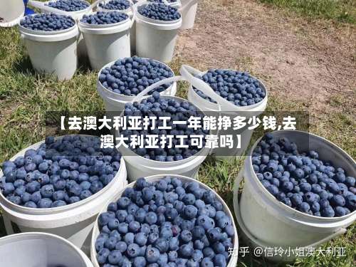 【去澳大利亚打工一年能挣多少钱,去澳大利亚打工可靠吗】-第1张图片