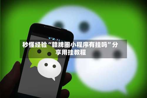 秒懂经验“赣牌圈小程序有挂吗”分享用挂教程-第1张图片