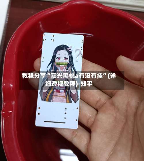 教程分享“嘉兴黑桃a有没有挂	”(详细透视教程)-知乎-第1张图片