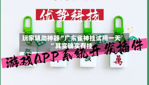 玩家辅助神器“广东雀神挂试用一天”其实确实有挂-第2张图片
