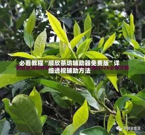 必看教程“顺欣茶坊辅助器免费版”详细透视辅助方法-第1张图片