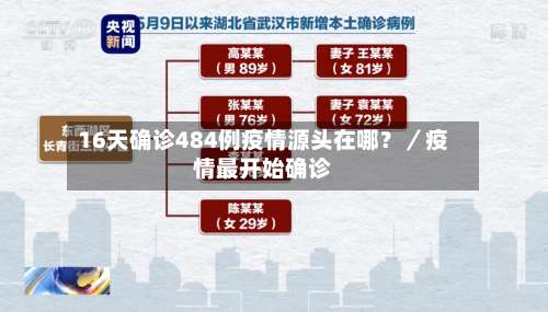 16天确诊484例疫情源头在哪？／疫情最开始确诊-第2张图片