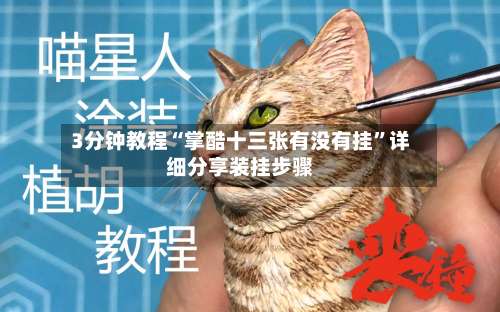 3分钟教程“掌酷十三张有没有挂	”详细分享装挂步骤-第2张图片