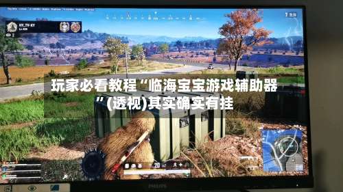 玩家必看教程“临海宝宝游戏辅助器	”(透视)其实确实有挂-第2张图片