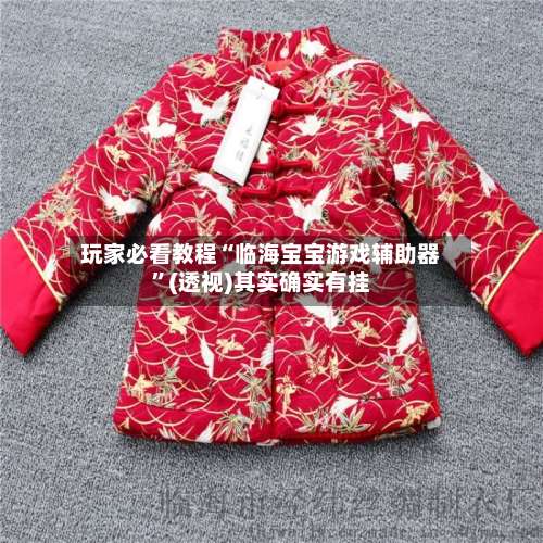 玩家必看教程“临海宝宝游戏辅助器”(透视)其实确实有挂-第1张图片