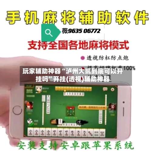 玩家辅助神器“泸州大贰到底可以开挂吗”开挂(透视)辅助神器-第2张图片