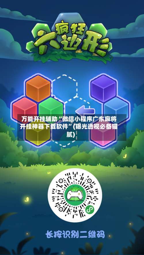 万能开挂辅助“微信小程序广东麻将开挂神器下载软件	”(曝光透视必备猫腻)-第3张图片