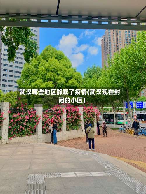 武汉哪些地区静默了疫情(武汉现在封闭的小区)-第2张图片
