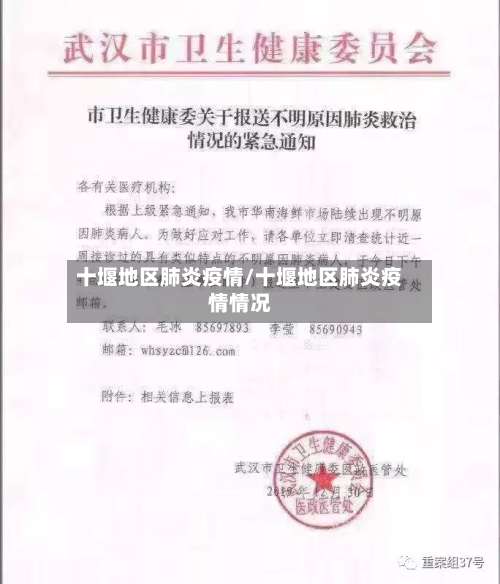 十堰地区肺炎疫情/十堰地区肺炎疫情情况-第2张图片