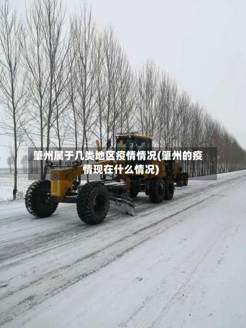 肇州属于几类地区疫情情况(肇州的疫情现在什么情况)-第1张图片