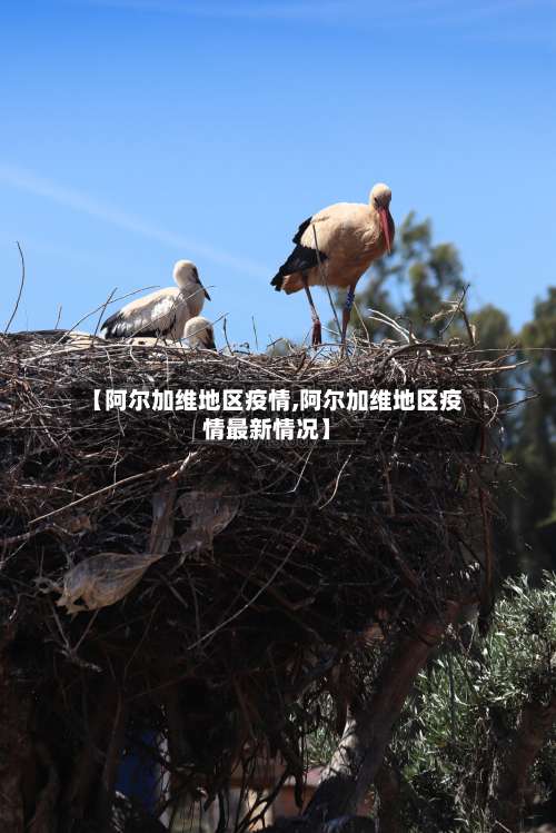 【阿尔加维地区疫情,阿尔加维地区疫情最新情况】-第1张图片