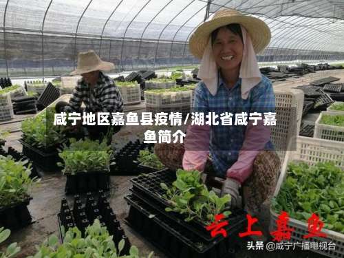 咸宁地区嘉鱼县疫情/湖北省咸宁嘉鱼简介-第1张图片
