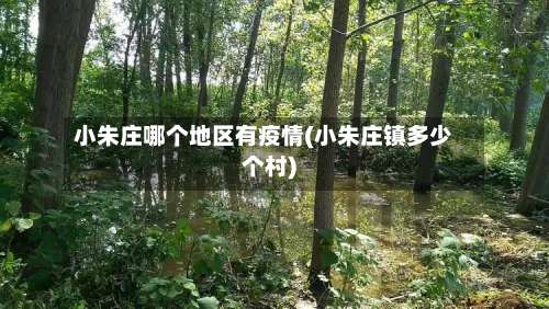 小朱庄哪个地区有疫情(小朱庄镇多少个村)-第1张图片