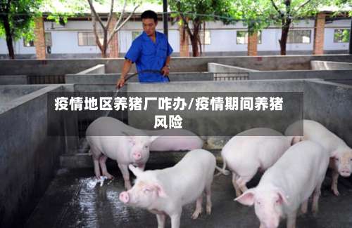 疫情地区养猪厂咋办/疫情期间养猪风险-第2张图片